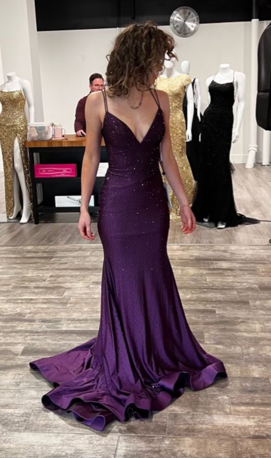 Purple Mermaid V Neck Long Prom Dresses      cg25273