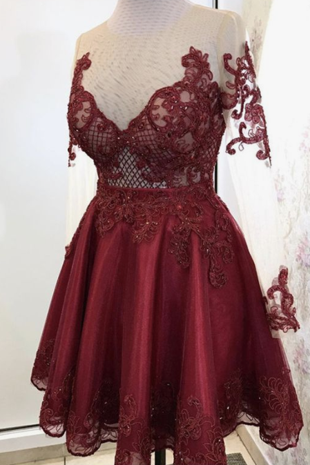 Elegant Burgundy Tulle Homecoming Dresses Lace Long Sleeves cg2354